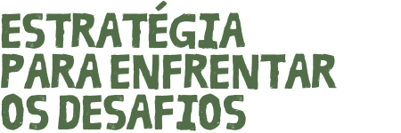 estratégias estratégias
